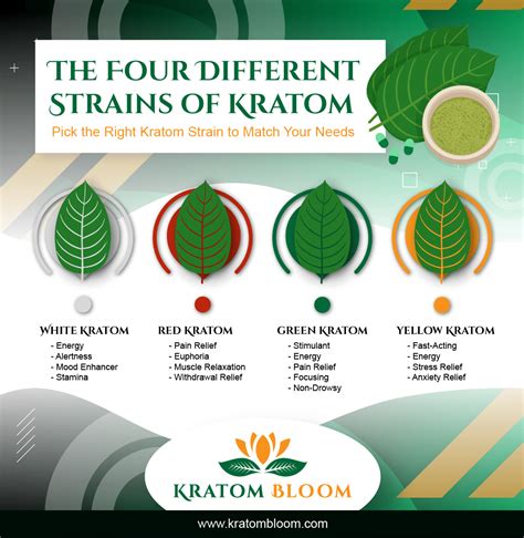 Top Kratom Energy Strains