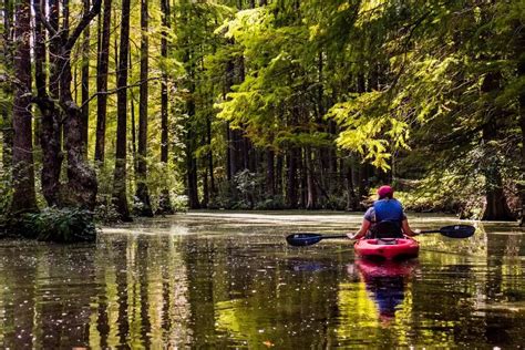 Trap Pond State Park