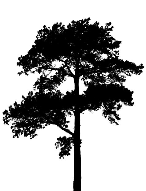 Tree silhouette nonogram