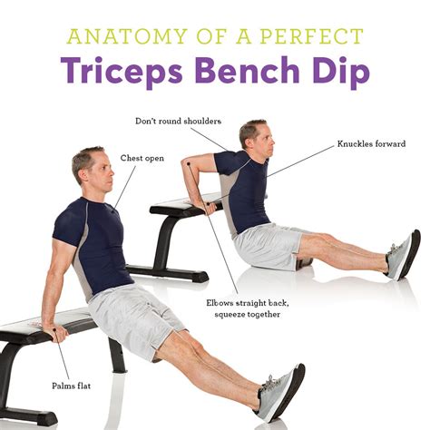 Tricep Dips Exercise Example