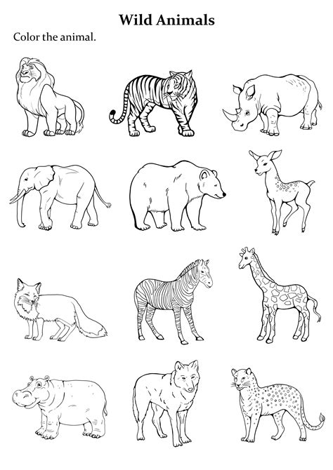 Types Of Animal Coloring Pages