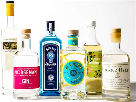 Types of Gin