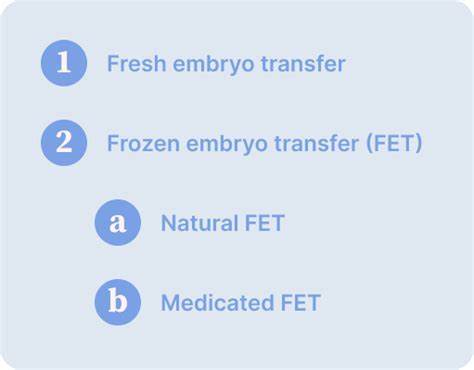 Types of IVF Transfer Cycles