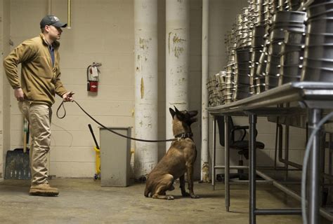 US Army Canine Unit narcotics detection