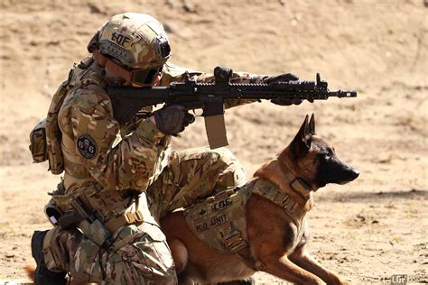 US Army Canine Unit specialized search