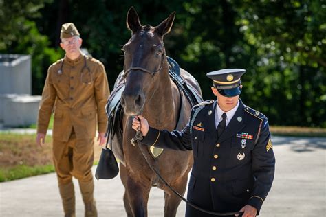 Veteran success stories with US Army Vet Corps