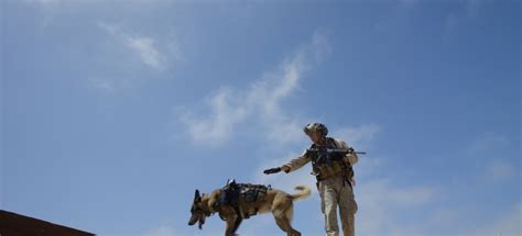 US Marine Canine Partners Overcoming Obstacles