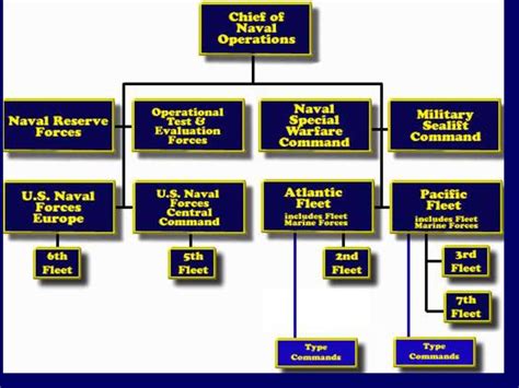 US Navy Structure