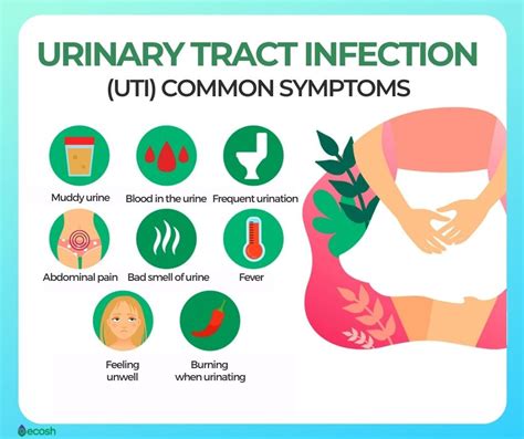 Common symptoms of a UTI