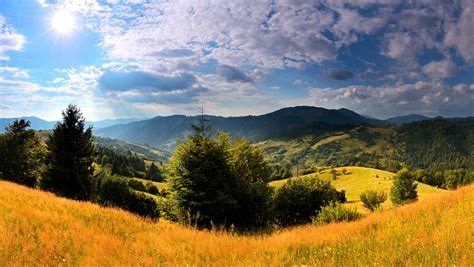 Ukrainian Landscape