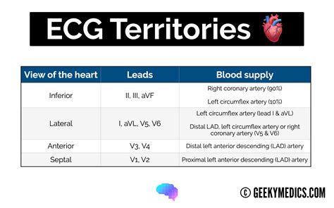 ECG Leads