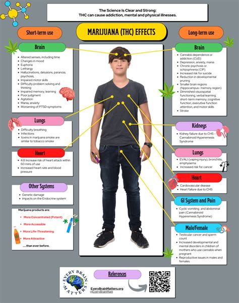 Understanding THC Effects