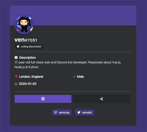 Unique Discord Bio Example