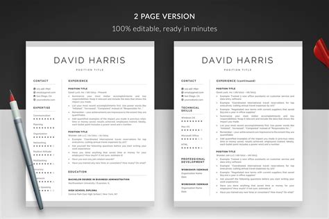 Using David Paykin Resume Template Example