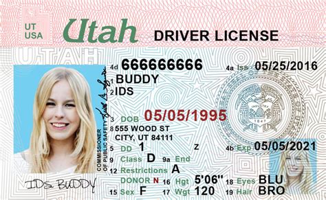 Utah CDL Licenses Requirements