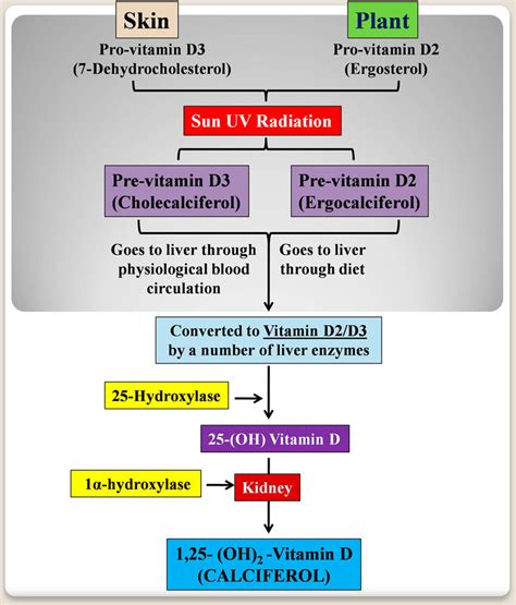 Components of Vetmin