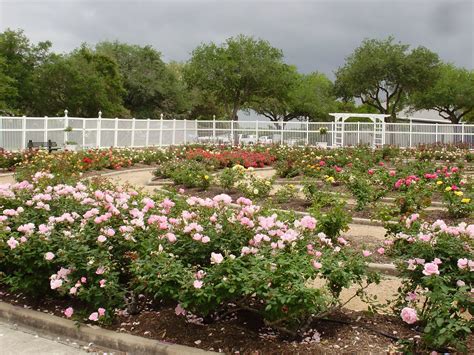 Victoria Tx Community Garden