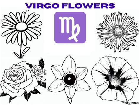 Virgo Zodiac Sign Flowers