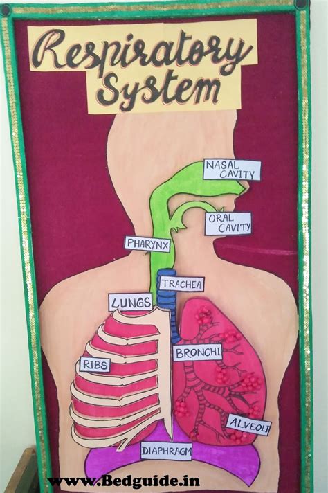 Visual Aids for Science