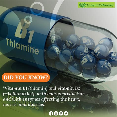 Vitamin B1 (Thiamine) for Energy Production