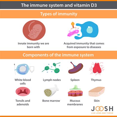 Description of Vitamin D3 Immune System