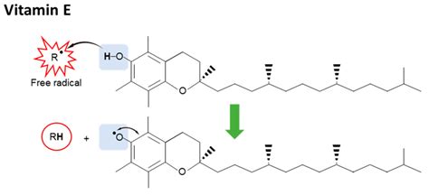 Vitamin E for Antioxidant Properties