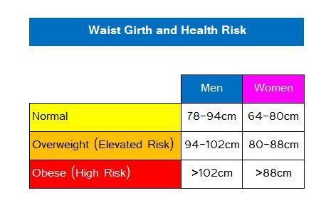 Waist Circumference Requirements