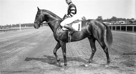 War Admiral running on the track