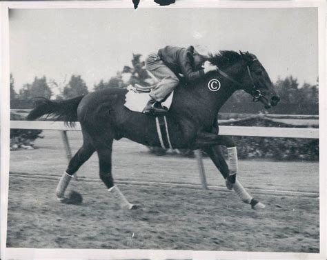 War Admiral's breeding career