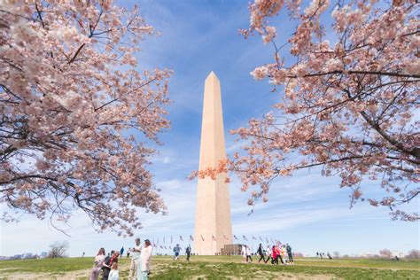 Washington D.C. Events