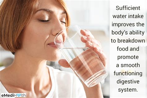 Water Intake and Digestion