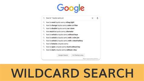 Wildcard Search in Excel