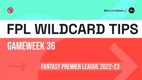 Wildcard Tips in Excel