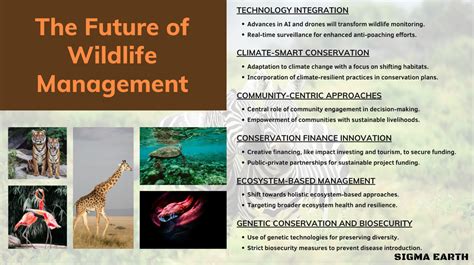 Wildlife Management and Control