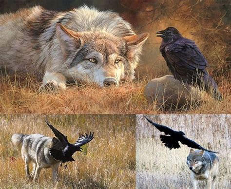 Birds acting nervously in the presence of a wolf