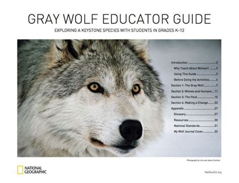 Education and outreach programs for wolf conservation