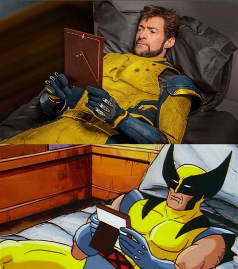 Wolverine meme culture