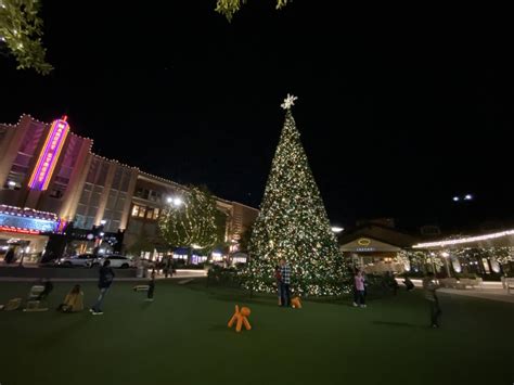 Festive drinks and hot chocolate at the Woodlands Lights Christmas event