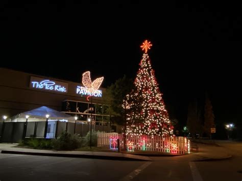 Delicious food options at the Woodlands Lights Christmas event