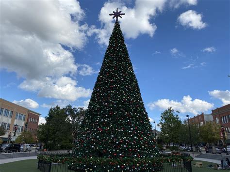 The iconic Woodlands Lights Christmas tree