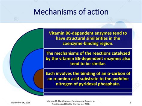 Working Mechanisms of Vitamins