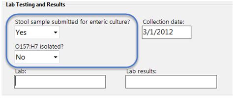 Yes or No Fields in Formulas