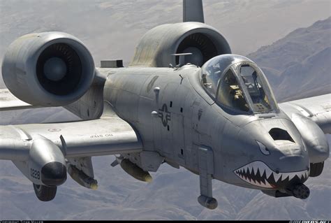 An A-10 Thunderbolt II in flight