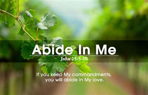 Abiding in God's Love