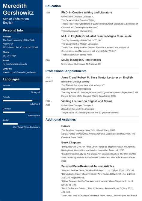 Academic CV Template Example