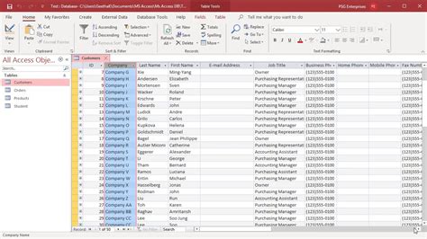 Access datasheet view with column adjustments