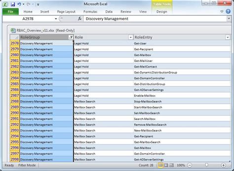 Access Excel Report