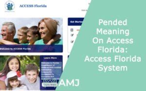 ACCESS Florida System