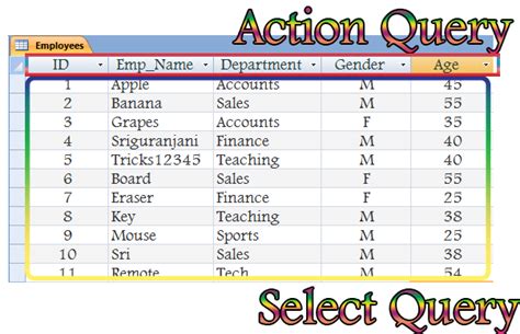 Access Queries VBA Overview