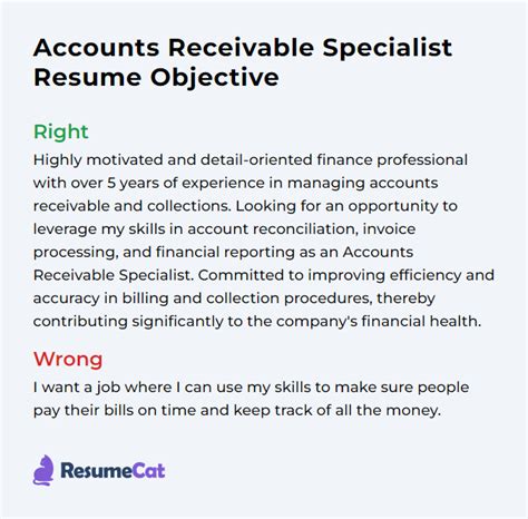 accounts receivable professional summary